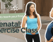 83610c-c6a-1222-b85c-aa52aefc3fe_How_to_teach_Prenatal_fitness_class_programming.png