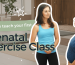 83610c-c6a-1222-b85c-aa52aefc3fe_How_to_teach_Prenatal_fitness_class_programming.png