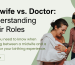 e004bda-831f-280b-76fb-f48b7df661a5_Midwife_vs_Doctor.png